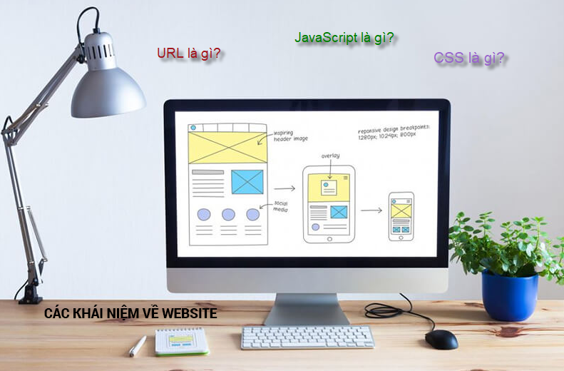 các khái niệm cơ bản về website